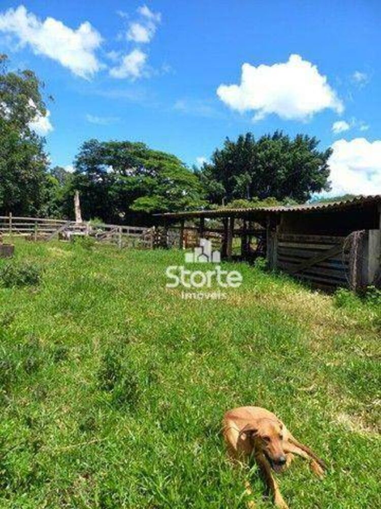 Sítio, 3 quartos, 12 hectares - Foto 4