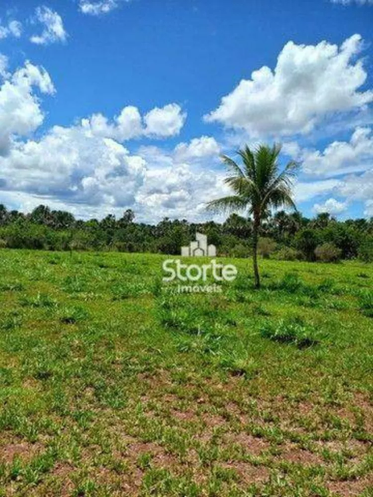 Sítio, 3 quartos, 12 hectares - Foto 7