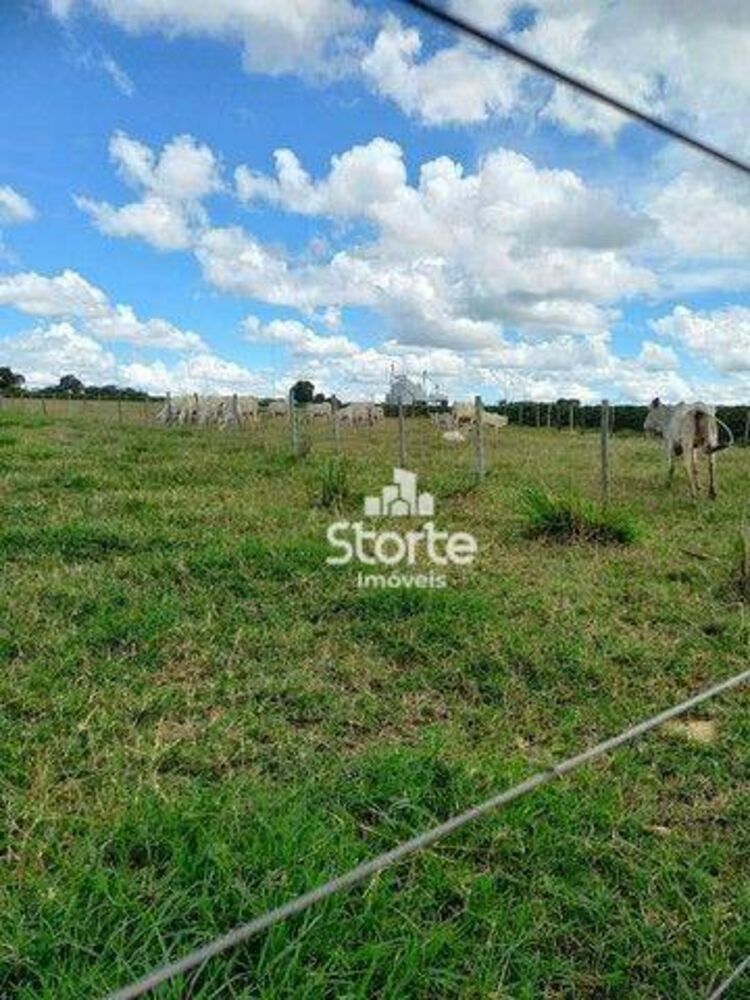 Sítio, 3 quartos, 12 hectares - Foto 1