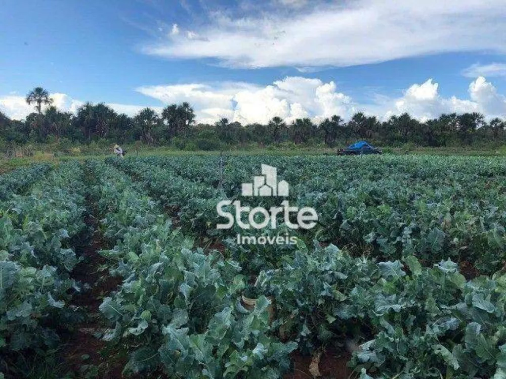 Sítio, 3 quartos, 12 hectares - Foto 8