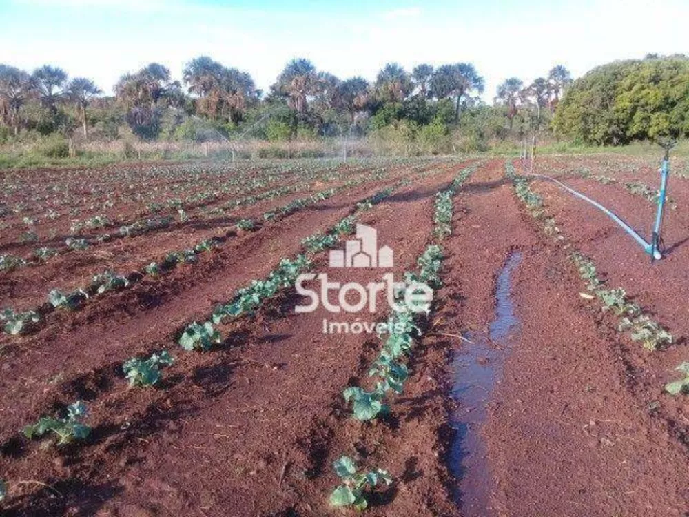 Sítio, 3 quartos, 12 hectares - Foto 6