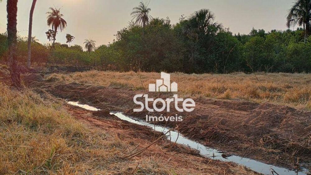 Chácara, 2 hectares - Foto 2