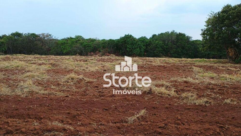 Chácara, 2 hectares - Foto 8