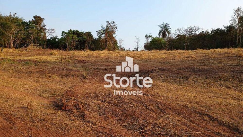 Chácara, 2 hectares - Foto 5