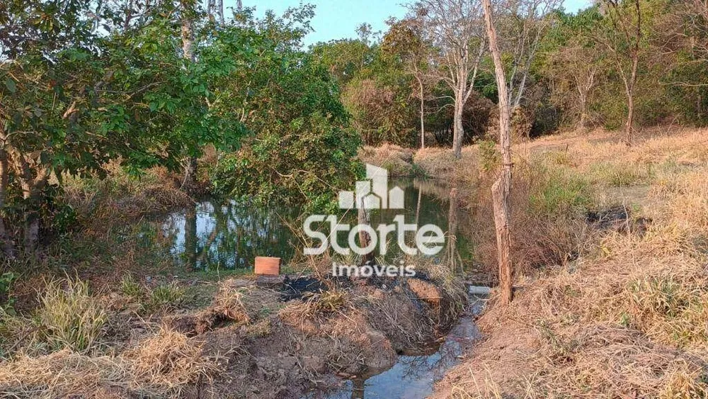 Chácara, 9 hectares - Foto 1