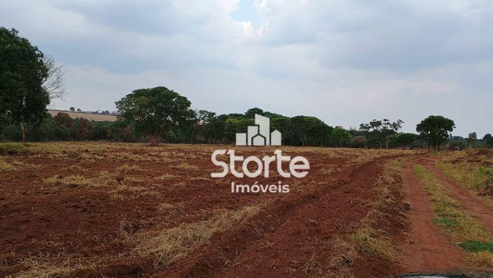 Chácara, 9 hectares - Foto 3