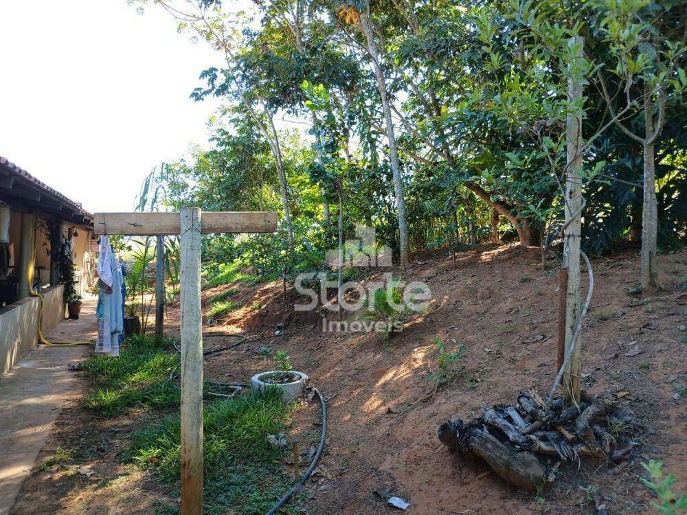 Sítio à venda com 3 quartos, 20000M2 - Foto 7