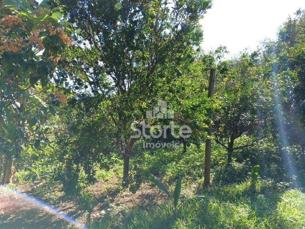 Sítio à venda com 3 quartos, 20000M2 - Foto 8
