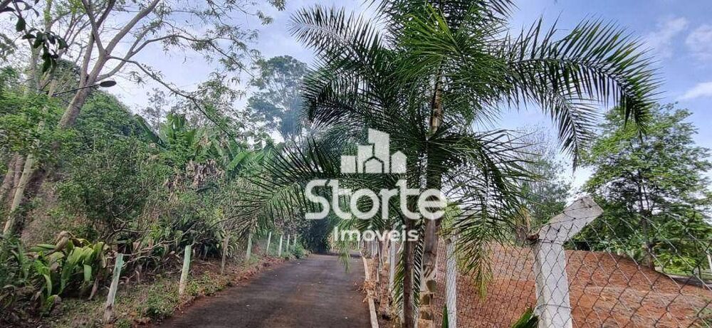 Chácara, 4 quartos, 4580 m² - Foto 3