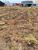 Terreno, 300 m² - Foto 3