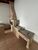 Casa, 3 quartos, 220 m² - Foto 5