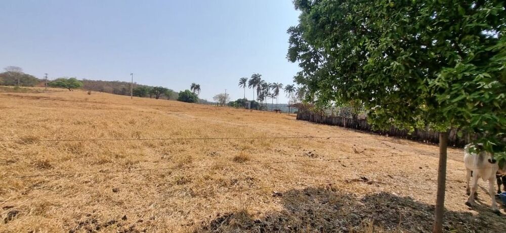Fazenda, 136 hectares - Foto 4