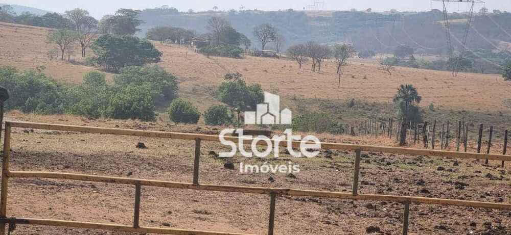 Fazenda, 136 hectares - Foto 3