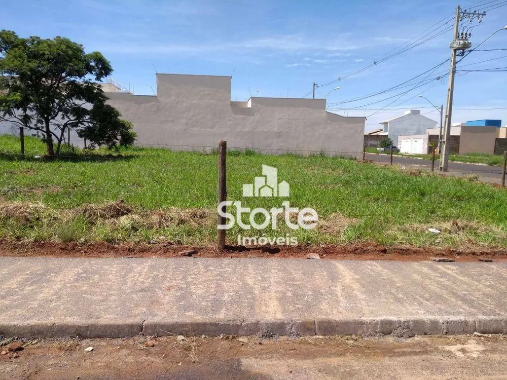Terreno, 250 m² - Foto 1