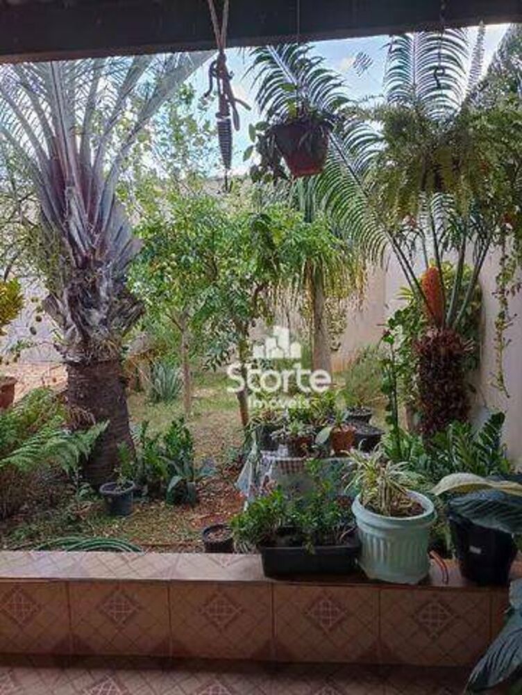 Apartamento, 5 quartos, 237 m² - Foto 3