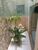 Apartamento, 5 quartos, 237 m² - Foto 5