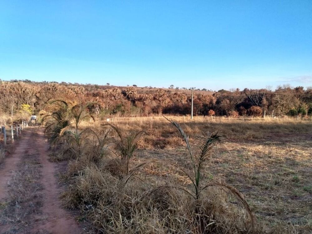 Chácara, 1 quarto, 2 hectares - Foto 8
