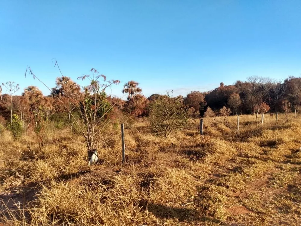 Chácara, 1 quarto, 2 hectares - Foto 13