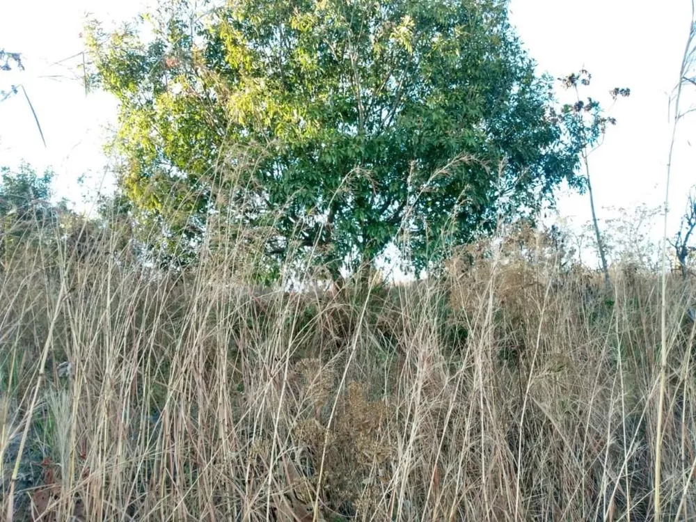Chácara, 1 quarto, 2 hectares - Foto 14