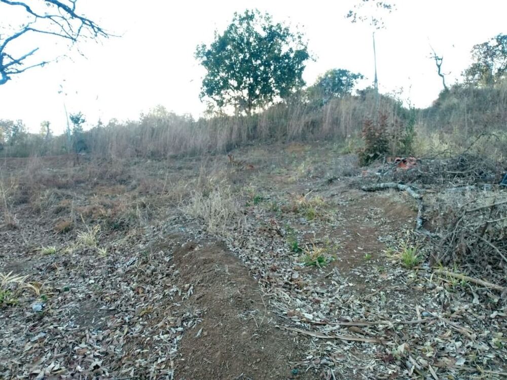 Chácara, 1 quarto, 2 hectares - Foto 7