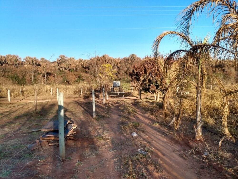 Chácara, 1 quarto, 2 hectares - Foto 6