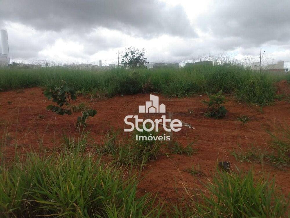 Terreno, 250 m² - Foto 1