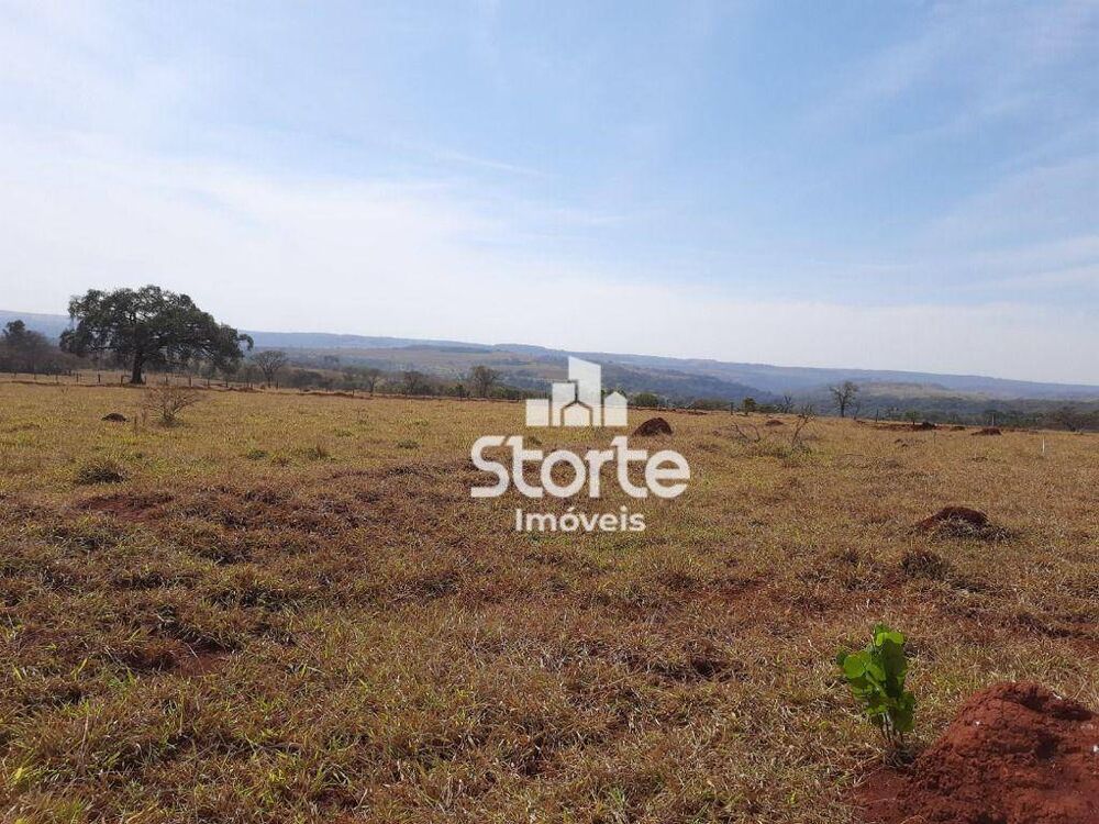 Sítio, 1000 m² - Foto 3