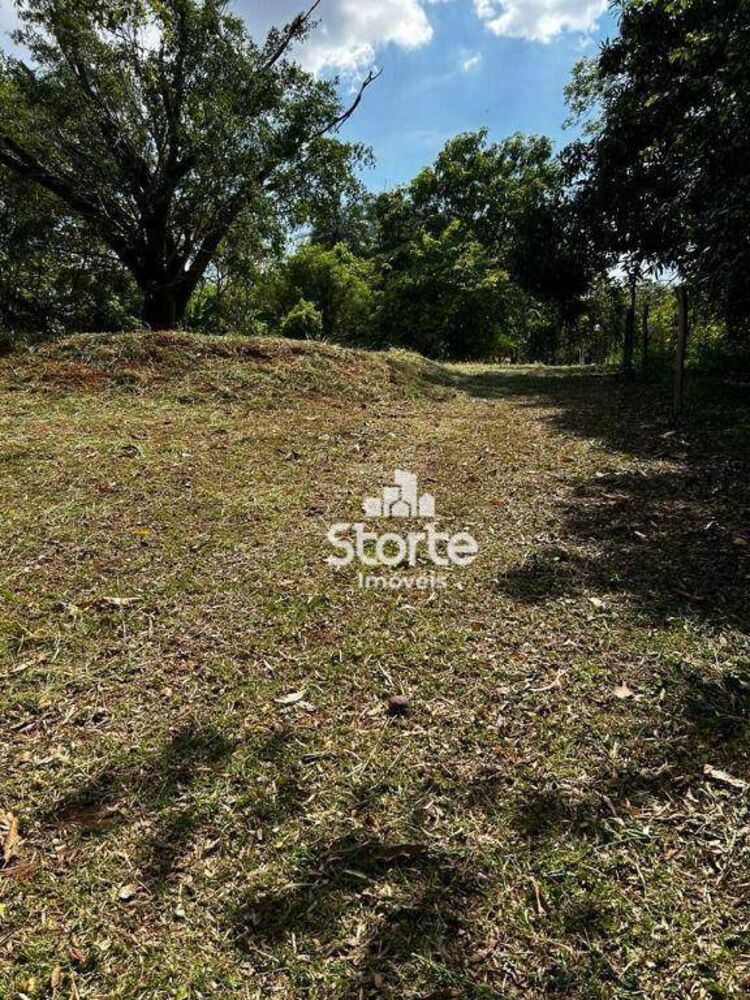 Chácara, 2 quartos, 2000 m² - Foto 3