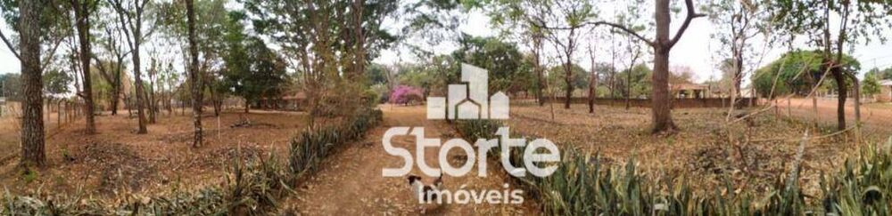 Chácara à venda com 3 quartos, 10000M2 - Foto 4