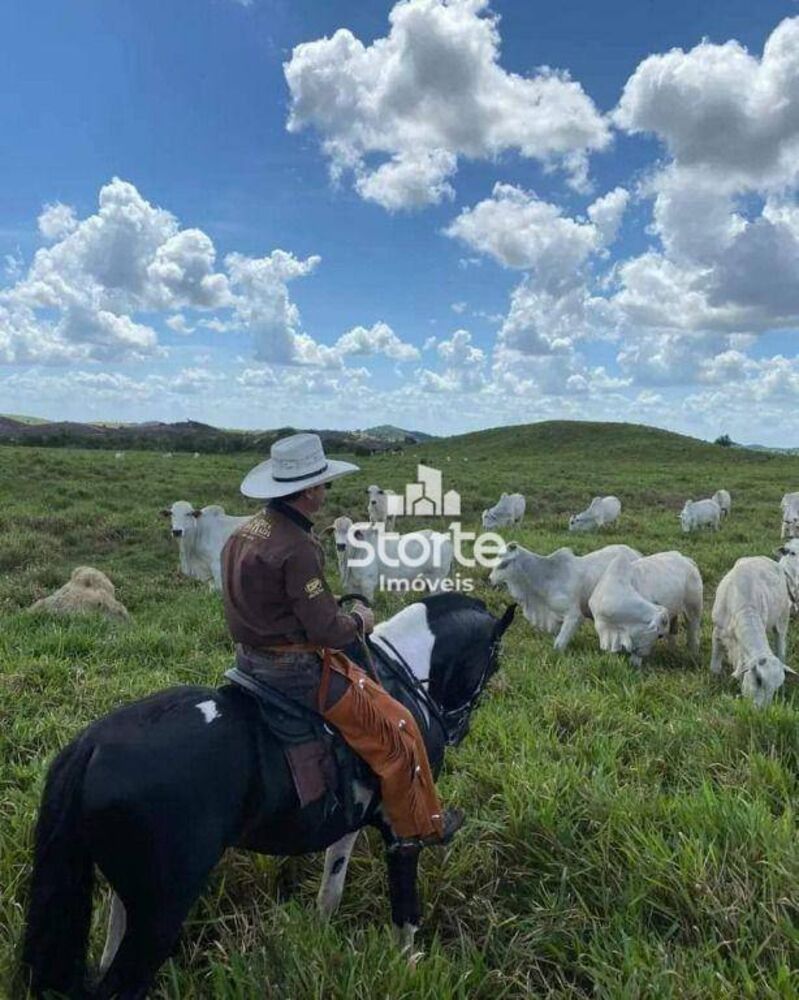Fazenda, 6000 hectares - Foto 2
