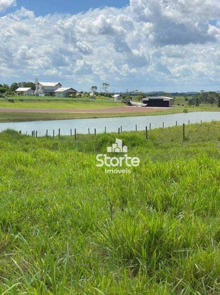 Fazenda, 6000 hectares - Foto 3