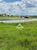 Fazenda, 6000 hectares - Foto 3