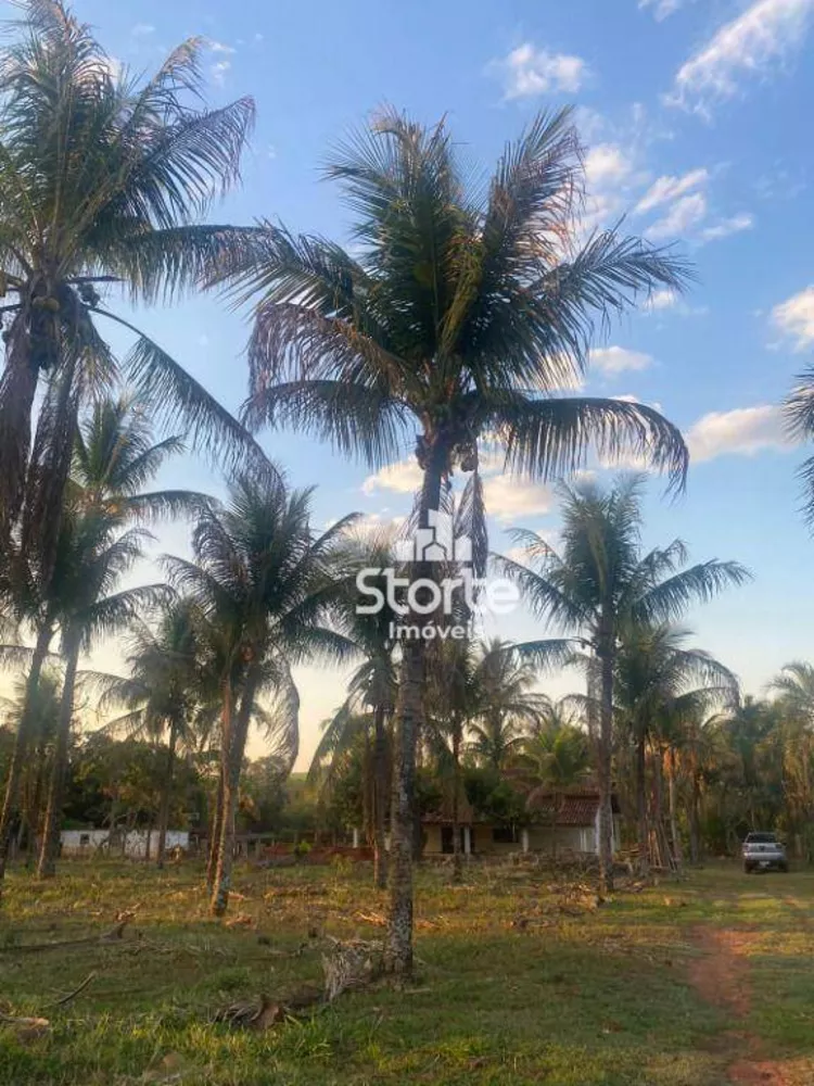 Chácara, 4 quartos, 1 hectares - Foto 9