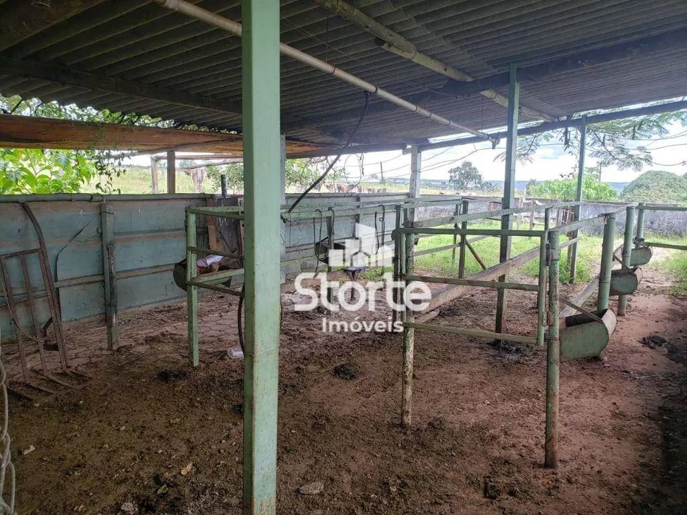 Sítio, 11 quartos, 27 hectares - Foto 21