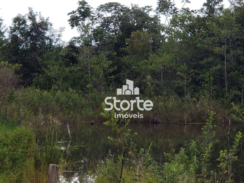 Sítio, 11 quartos, 27 hectares - Foto 5