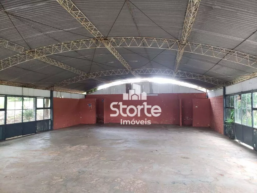 Sítio, 11 quartos, 27 hectares - Foto 16