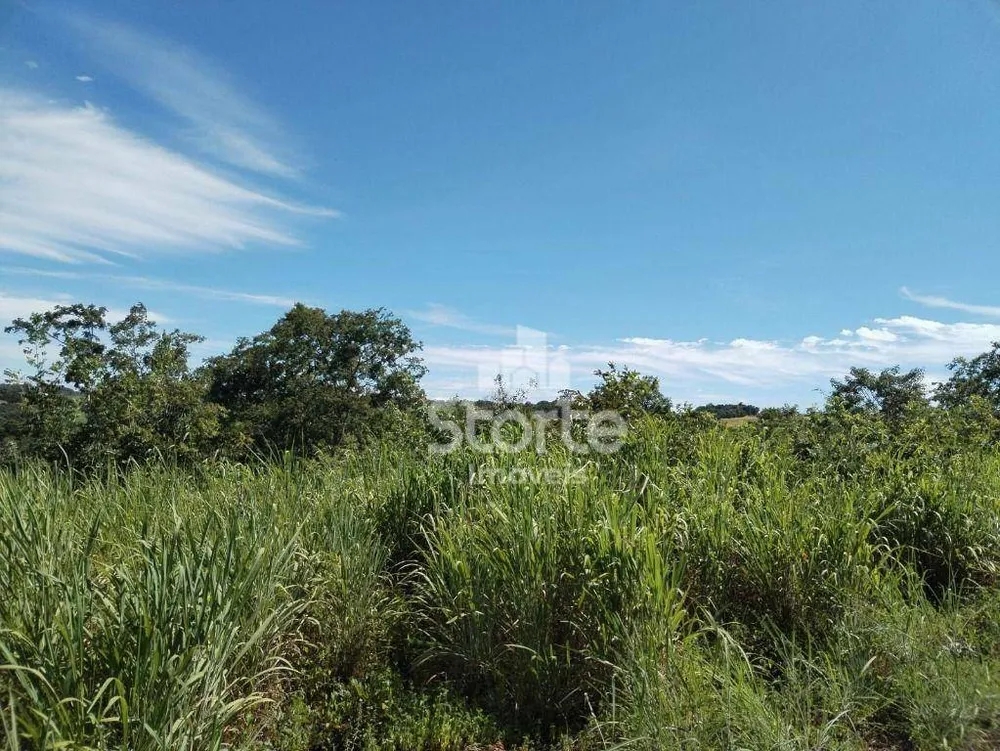Chácara, 3 hectares - Foto 1