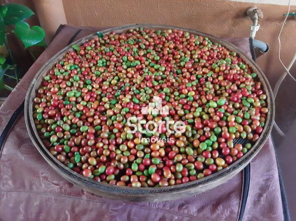 Chácara, 1000 m² - Foto 11