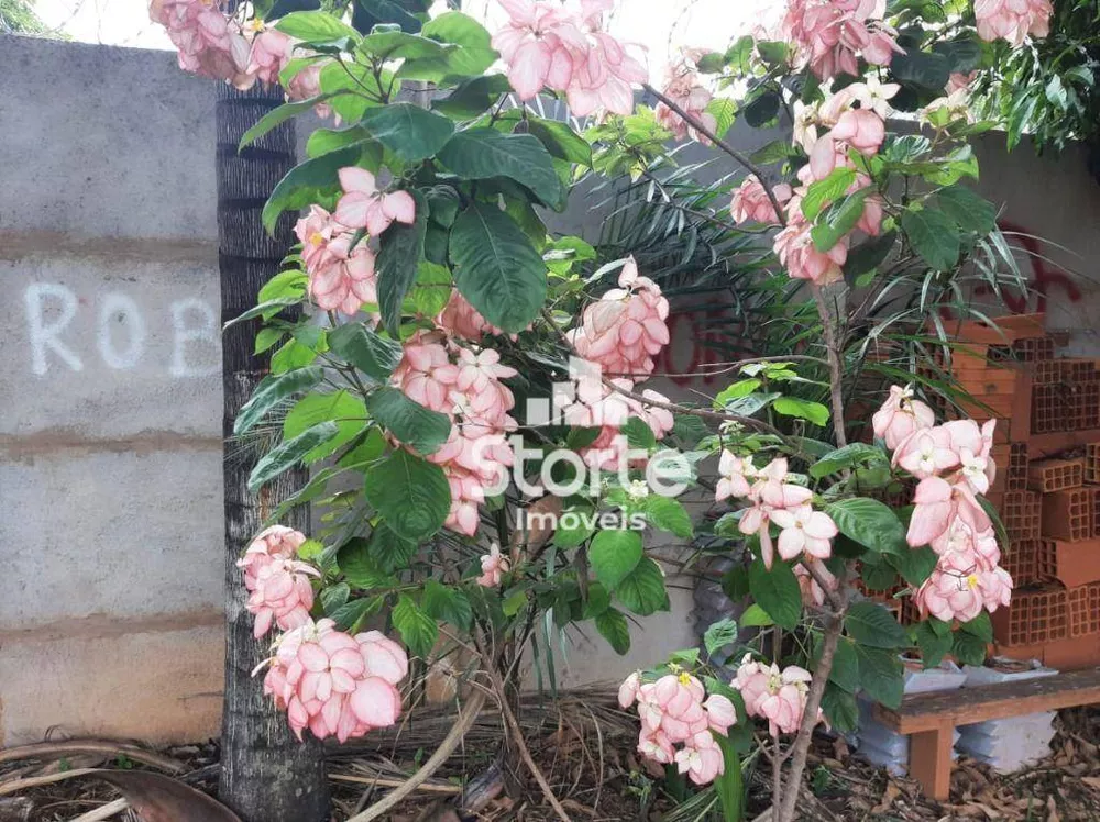 Chácara, 1000 m² - Foto 15