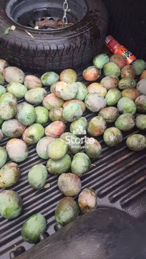 Chácara, 1000 m² - Foto 13