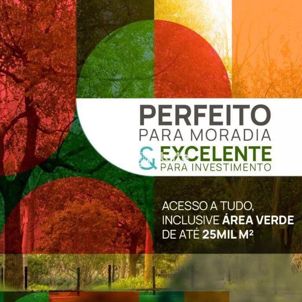 Terreno, 250 m² - Foto 6