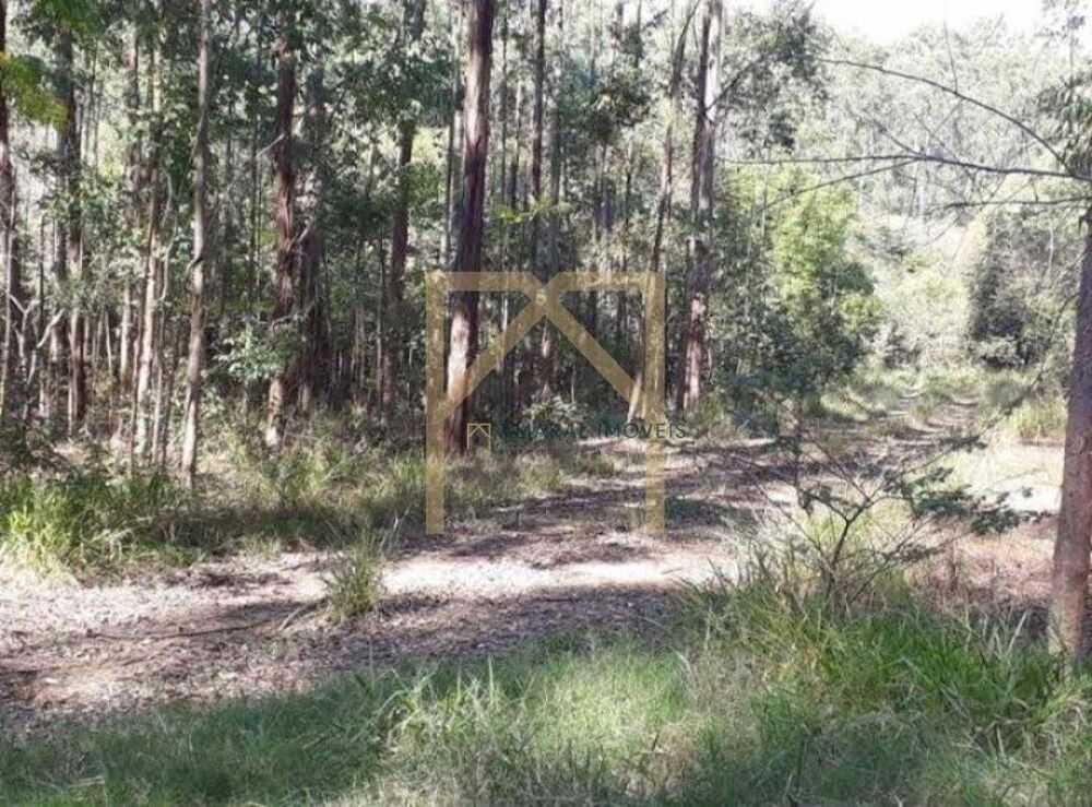 Fazenda-Sítio-Chácara, 469 m² - Foto 6