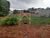 Terreno, 2970 m² - Foto 3