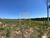 Terreno, 1503 m² - Foto 6