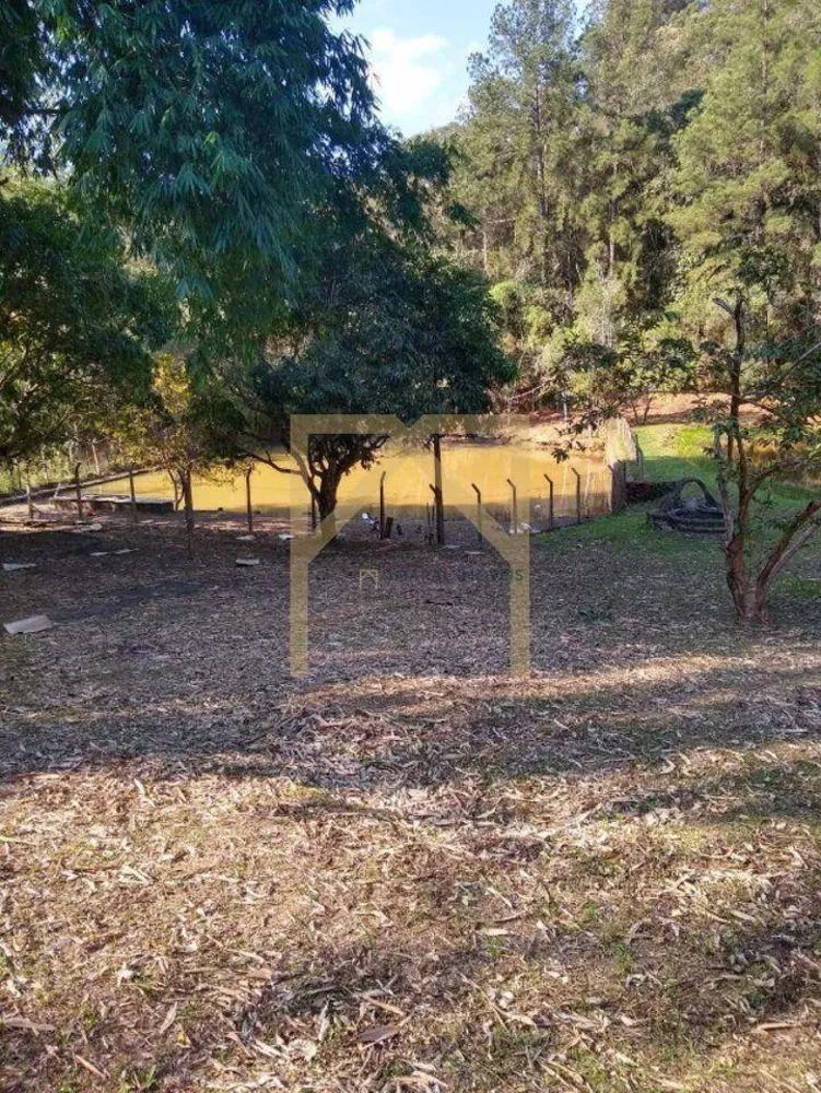 Chácara, 10 quartos, 28 hectares - Foto 11