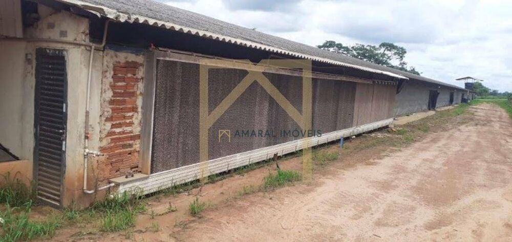 Sítio, 3 quartos, 3 m² - Foto 2