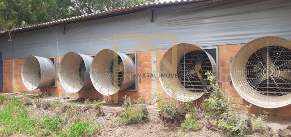 Sítio, 3 quartos, 3 m² - Foto 4