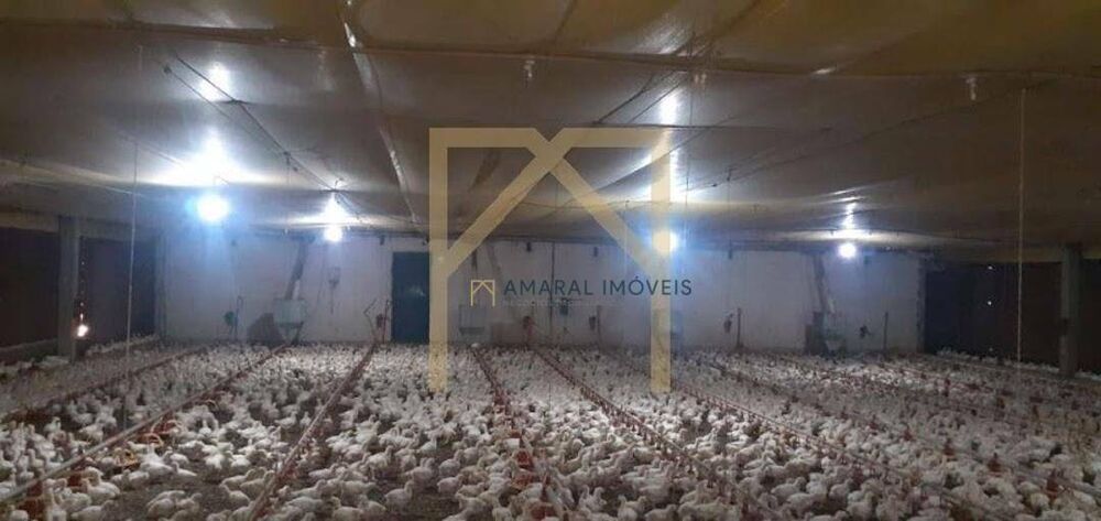 Sítio, 3 quartos, 3 m² - Foto 1