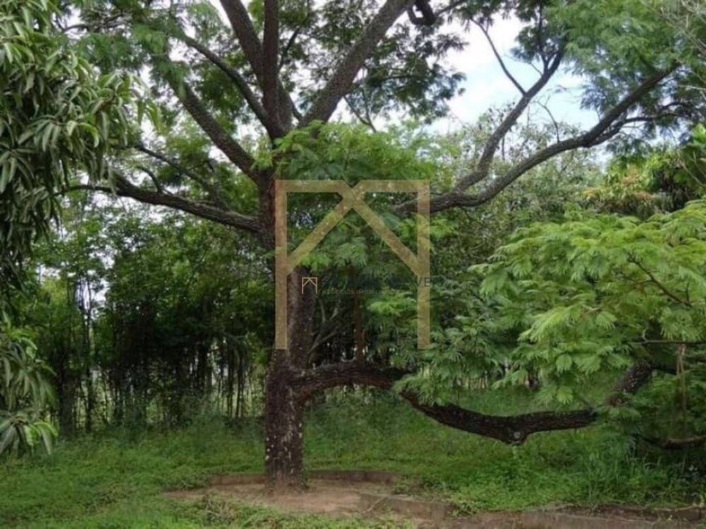 Chácara, 3 quartos, 2500 m² - Foto 4