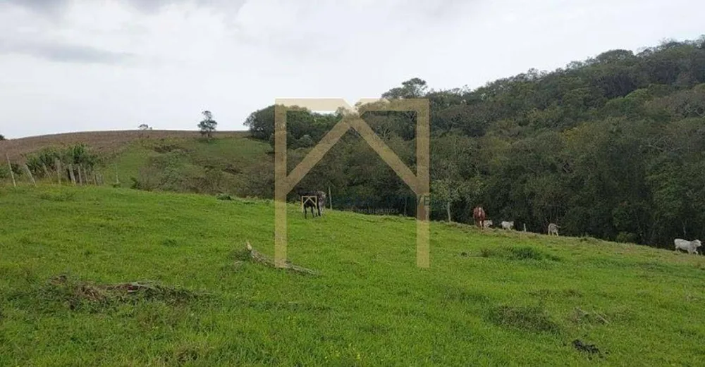 Sítio, 2 quartos, 7 m² - Foto 2